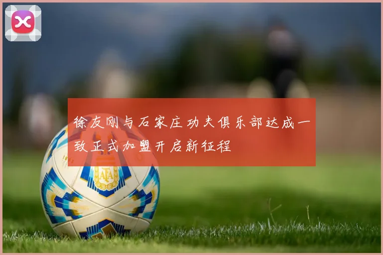 徐友刚与石家庄功夫俱乐部达成一致正式加盟开启新征程