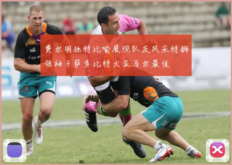 费尔明独特比喻展现队友风采特狮领袖卡萨多比特犬亚马尔最佳